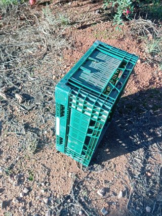 20 Cajas verdes plegables apilables