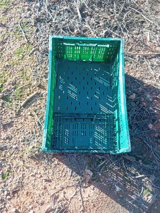 20 Cajas verdes plegables apilables