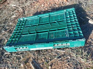 20 Cajas verdes plegables apilables