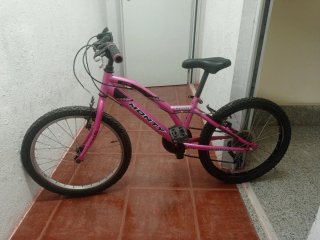 Bicicleta Infantil Monty 20