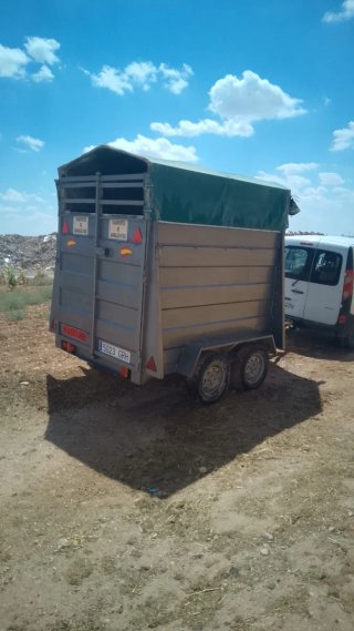 VAN doble para caballos