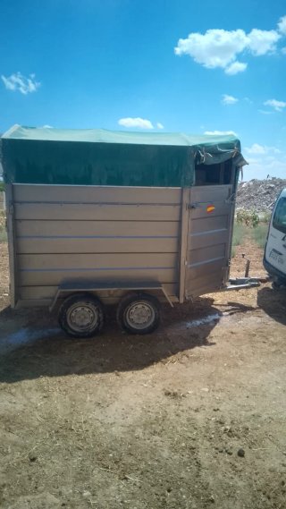 VAN doble para caballos