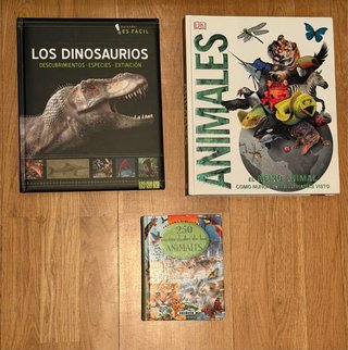 Pack de libros para niños: animales /dinosaurios.