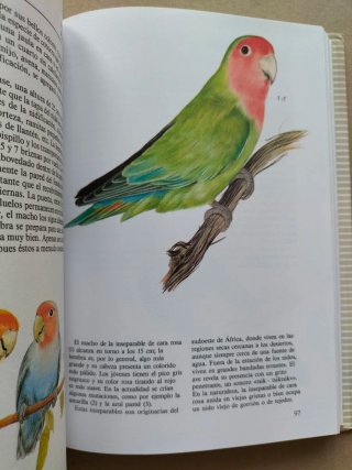 Libro Aves de jaula
