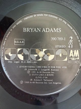 Vinilo Bryan Adams Robin Hood Prince of Thieves