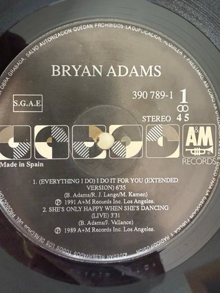 Vinilo Bryan Adams Robin Hood Prince of Thieves
