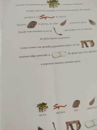 Cuentos de la selva y otras historias