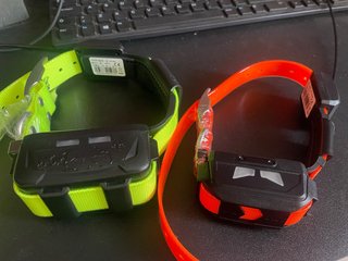 Collar GPS para perros eSEEK.(Varias unidades)