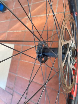Rueda MTB 29 Gurpil + Maxxis + Disco