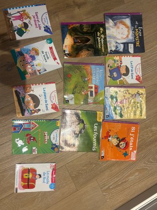 Libros en frances de primero de primaria (CP)