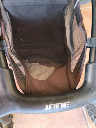 Carro Jane Crosswalk R