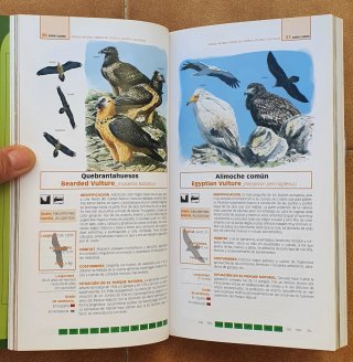 Guía de Aves del Parque Natural de Cazorla-Segura.