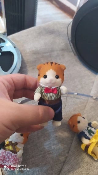 Familia Sylvanian Gatos