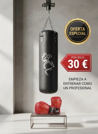 Saco de boxeo con guantes