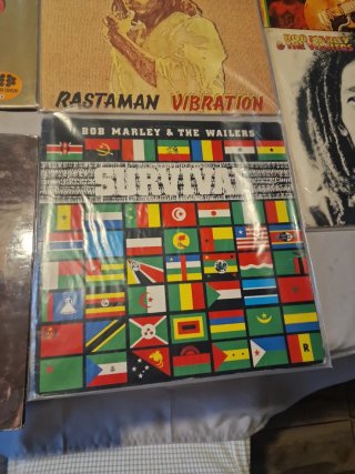 Pack 9 Vinilos Bob Marley & The Wailers