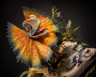 Dilophosaurus Prime 1 Studio
