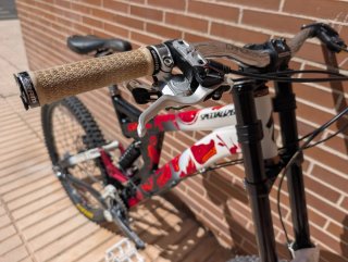 Specialized Big Hit 3 DH/Freeride