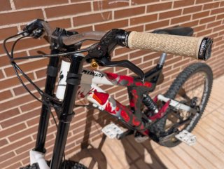 Specialized Big Hit 3 DH/Freeride