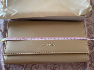 Pochette Pandora Shine Oro