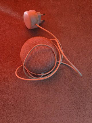 Google Nest Mini + Cargador