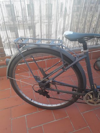 Bicicleta de paseo azul para adulto