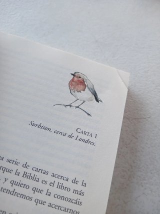 Cartas a Mis Nietos. Acerca de la Biblia.