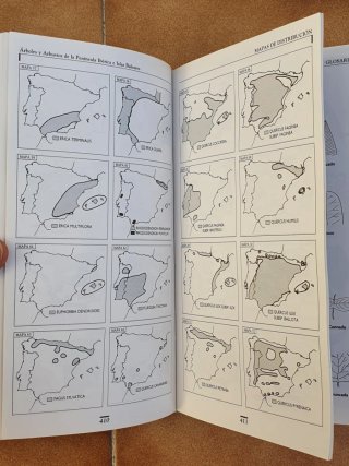 Arboles y Arbustos Península Iberica y Baleares.