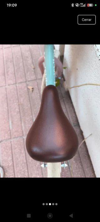 Bici de equilibrio con cesta hasta 5 años