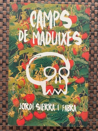 Camps de maduixes – Jordi Sierra i Fabra