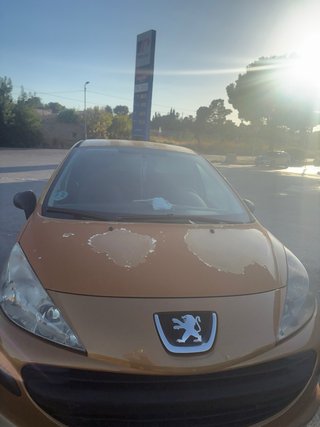 Peugeot 207 2007