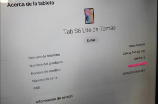 Samsung Galaxy Tab S6 Lite LTE Gris