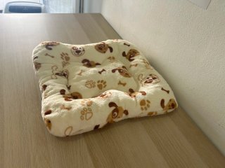 Almohada para mascotas 50x50 cm