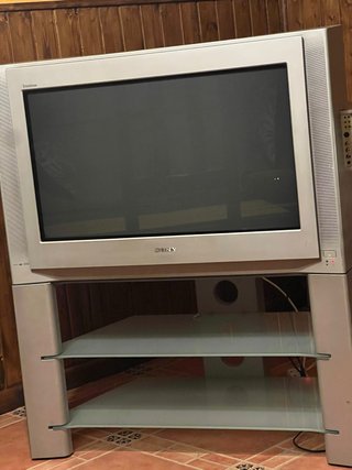 Televisor Sony Trinitron 32 Beige/Plata