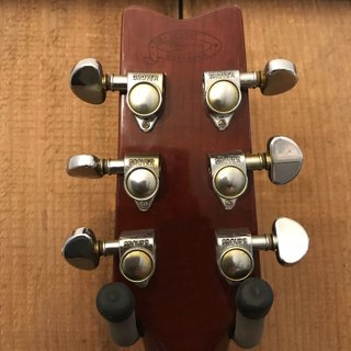 Washburn D10-S Guitarra Acústica