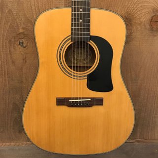 Washburn D10-S Guitarra Acústica