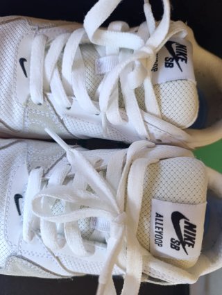 Zapatillas Nike SB