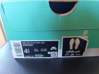 Zapatillas Nike SB