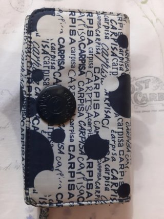 Cartera Carpisa azul y blanca
