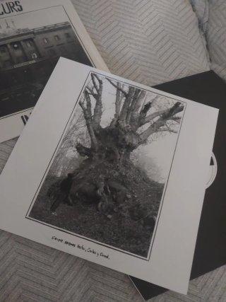 Vinilo Decurs" Incendio "