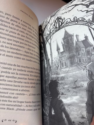 Libro “Amanda Black: Una herencia peligrosa” NUEVO