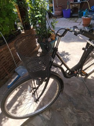 Bicicleta Mujer Crescent con Cesta