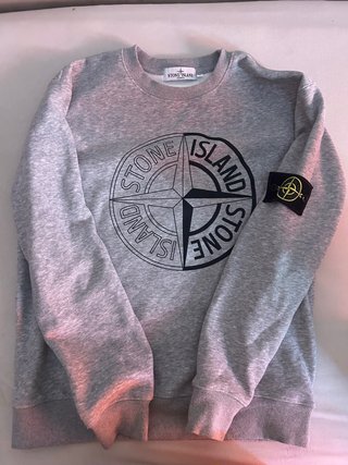 Sudadera Stone Island Gris