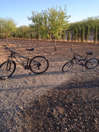 3 Bicicletas Orbea