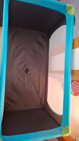 Cuna de viaje Hauck Dream N Play