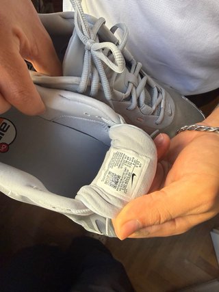 Nike Air Max DN8 grises