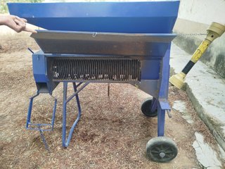 Máquina pelar almendra azul
