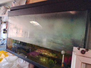 Acuario pecera grande de unos 100 litros con luz.