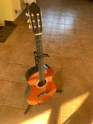 Guitarra Navarra 3/4 con golpe mástil