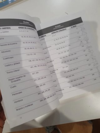 Manual de estiramientos deportivos eaa5b95d-3a2...