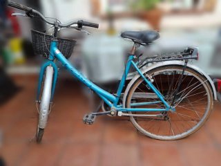 Bicicleta de mujer con cesta y luz por dinamo
